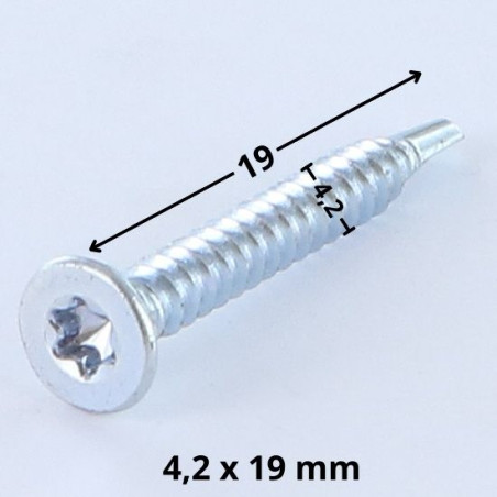 1 x Vis autoperceuse Tête fraisée TORX T20 4.2X19 Acier zingué