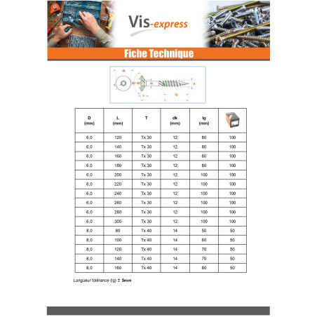 1 x Vis charpente TEKOR Tête fraisée Cranté TORX T40 10X220 Filetée sur 80 Pointe antifendage type 17 Acier zingué