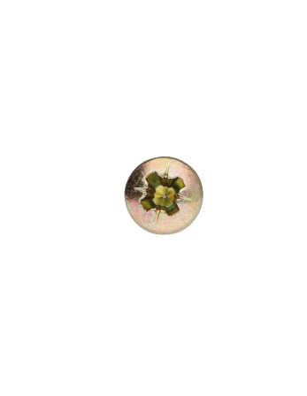 VBA Vis bois agglo Tête ronde TR Pozi N°1 3X12 Bichromaté microvis