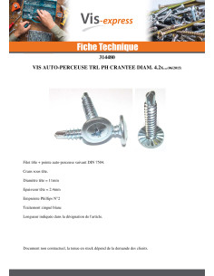 Vis autoperceuse Tête ronde large Phillips Cranté 4.2X13... 2