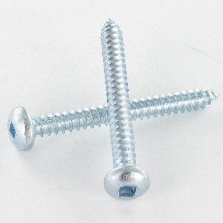 1 x Vis tôle tête cylindrique bombée large Carré 4.2X70 Acier zingué Empreinte carré 2