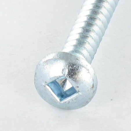 1 x Vis tôle tête cylindrique bombée large Carré 4.2X70 Acier zingué Empreinte carré 2
