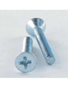 Vis métaux Tête fraisée Phillips M6X12 Classe 8.8 Acier...