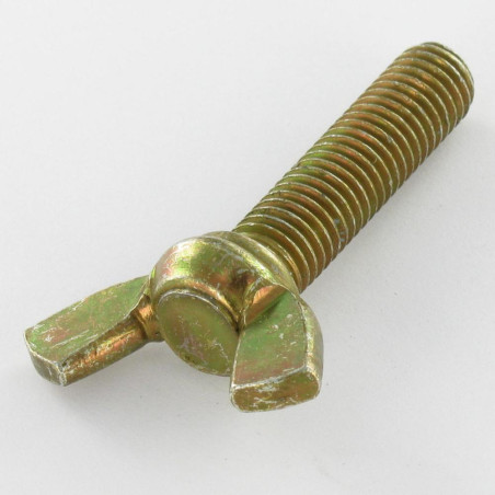 1 x Vis Oreilles M10X40 Forme amEricaine Bichromaté