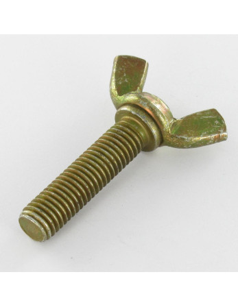 Vis Oreilles M10X40 Forme amEricaine Bichromaté