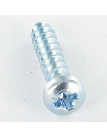 Vis pvc Tête cylindrique bombée TCB Pozi N°1 2.5X5 Filet 30DEGRES Acier zingué