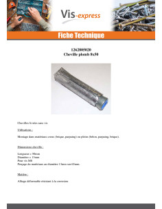 Cheville Plomb 8X50 2
