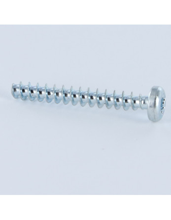 Vis pvc Tête cylindrique TC TORX T20 4X12 Acier zingué