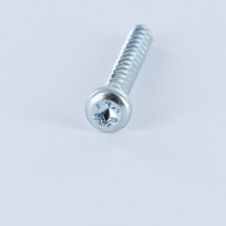 1 x Vis pvc Tête cylindrique TC TORX T20 4X12 Acier zingué