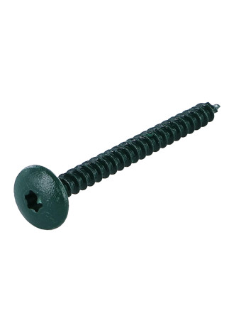 Vis Penture 4.5X50 Filetage total TORX T20 Acier zingué LAQ RAL6005 vert mousse