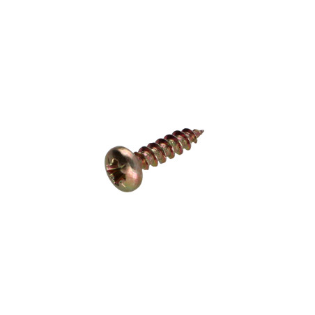 1 x VBA Vis bois agglo Tête ronde TR Pozi N°2 4.5X25 Bichromaté