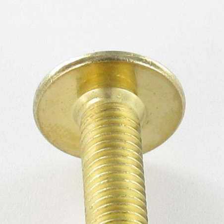 1 x Vis Poelier M6X30 Clé de 4 HC4 Acier laitonne
