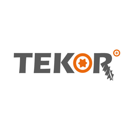 1 x Vis bois TEKOR Tête disque TORX T30 Pointe antifendage type 17 6X240 Filetage partiel Acier zingué