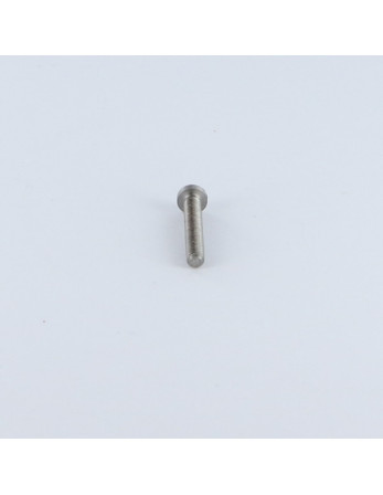 Vis métaux tête cylindrique bombée large Fendue M3X4 Acier brut microvis