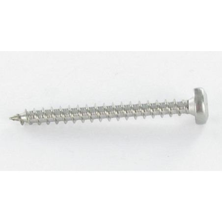 1 x VBA Vis bois agglo Tête ronde TR 5X30 TORX T25 Acier zingué