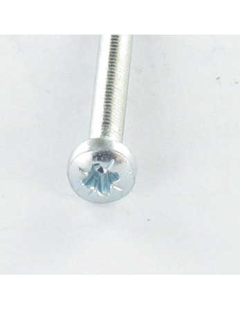 Vis autotaraudeuse tête cylindrique bombée large M4X6 Pozi N°2 Acier zingué