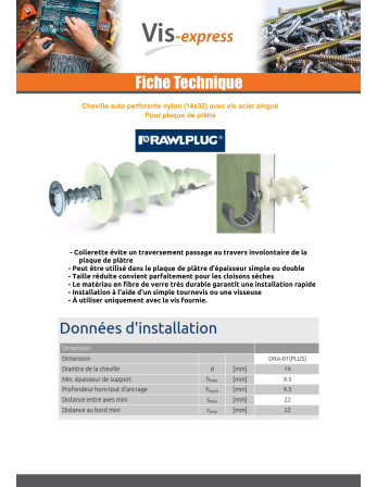 Cheville Nylon Vis autoperceuse RAWLPLUG 14X32 Avec Vis Acier zingué