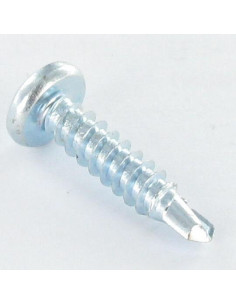 Vis autoperceuse Tête cylindrique bombée TCB 4.8X38 TORX... 2