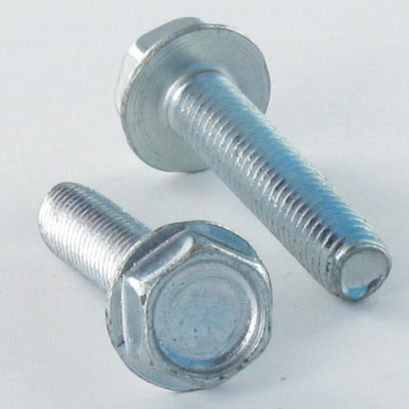 1 x Vis autotaraudeuse Tête hexagonale TH Embase collerette Lisse M8X25 Acier zingué