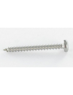 VBA Vis bois agglo Tête ronde TR 5X20 TORX T25 Acier zingué 2