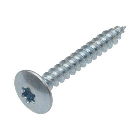 1 x Vis Penture 6X45 Filetage partiel TORX T30 Acier zingué