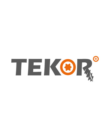 Vis bois TEKOR Tête disque TORX T40 Pointe antifendage type 17 8X280 Filetage partiel Acier zingué
