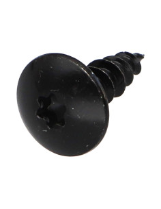 Vis Penture 6X25 Filetage total TORX T30 Acier zingué noir