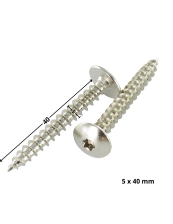 Vis Penture 5X40 Filetage total TORX T20 Acier nickelé