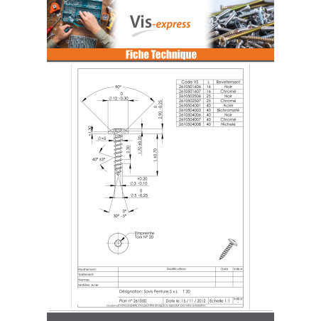 1 x Vis Penture 5X40 Filetage total TORX T20 Acier nickelé