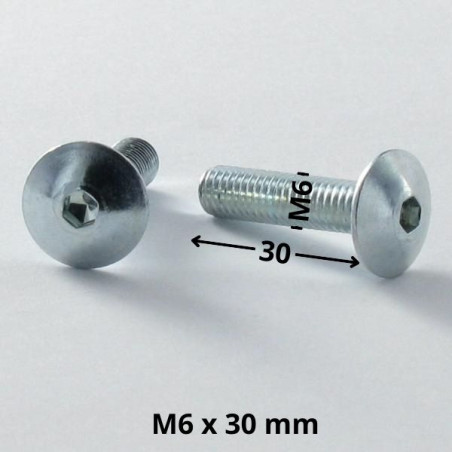 1 x Vis Poelier M6X30 Clé de 4 HC4 Acier zingué