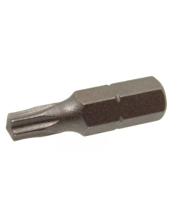 Assortiment de 1666 VBA Vis bois agglo Tête fraisée TX + Embout Inox A4