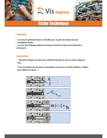 Cheville à frapper clou-vis Inox A2 8X80
