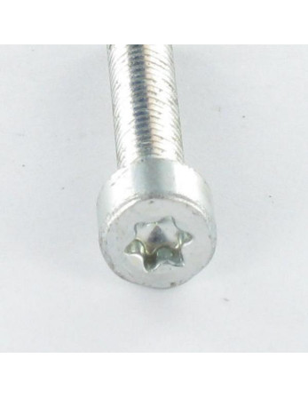 Vis autotaraudeuse Tête cylindrique TC M6X30 TORX T30 Acier zingué