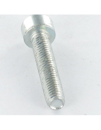 Vis autotaraudeuse Tête cylindrique TC M6X30 TORX T30 Acier zingué