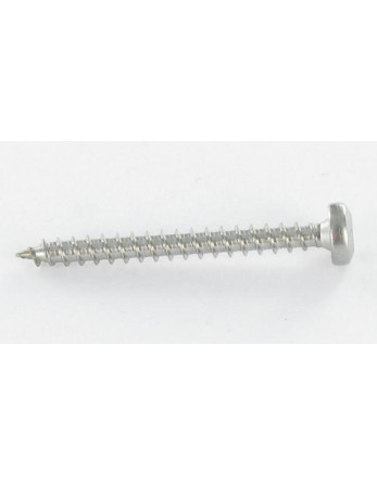 VBA Vis bois agglo Tête ronde TR 5X70 TORX T25 Filetage total ZN 96HBSRB 100PPM