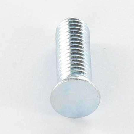 1 x Vis à sertir M6X20 Classe 6.8 Acier zingué