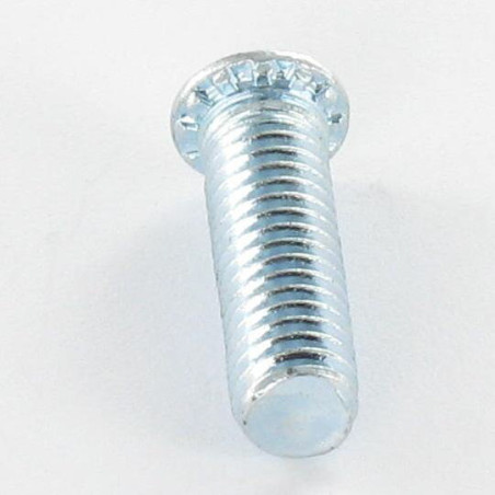 1 x Vis à sertir M6X20 Classe 6.8 Acier zingué