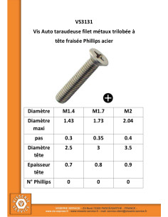 Vis autotaraudeuse Filet Métaux Tête fraisée Phillips... 2