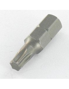 Embout TORX T40 2