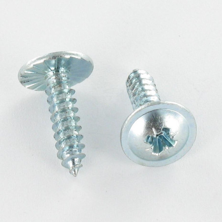 1 x Vis tôle tête cylindrique bombée large Pozi 2.9X6.5 Cranté Acier zingué