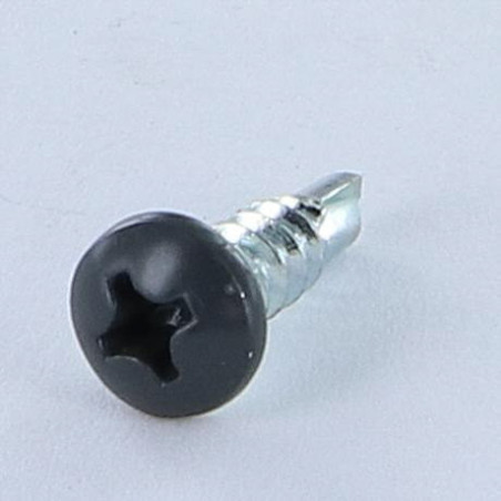 1 x Vis autoperceuse Tête cylindrique bombée TCB Phillips 3.9X13 Acier zingué RAL7016 gris anthracite