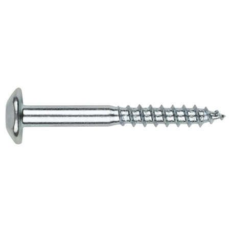 1 x Vis Penture Inviolable 2 pièces TORX T40 7X40 Acier zingué
