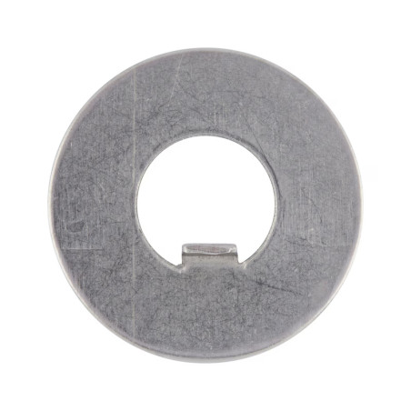1 x Rondelle de blocage a ergot interieur 20X36X1 Type F 6 Acier brut