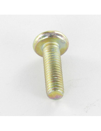 Vis métaux tête cylindrique bombée large Pozi N°2 M5X50 Bichromaté