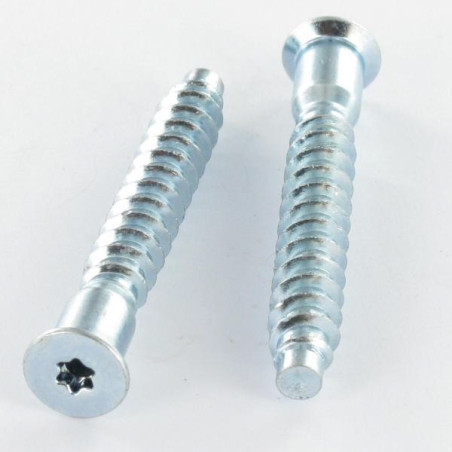 1 x Vis d'assemblage confirmat Tête fraisée TORX 7X50 SS Cranté Acier zingué TORX T20
