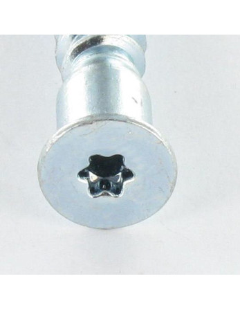 Vis d'assemblage confirmat Tête fraisée TORX 7X50 SS Cranté Acier zingué TORX T20