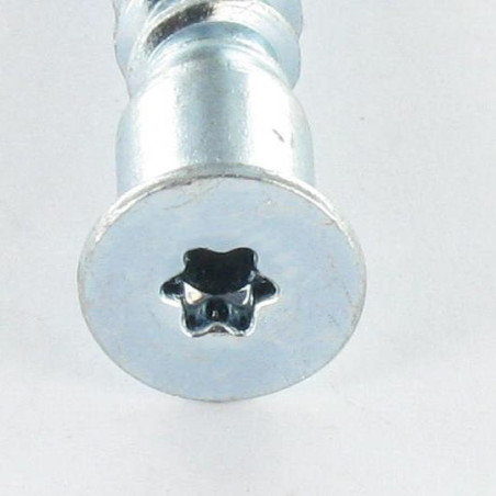 1 x Vis d'assemblage confirmat Tête fraisée TORX 7X50 SS Cranté Acier zingué TORX T20