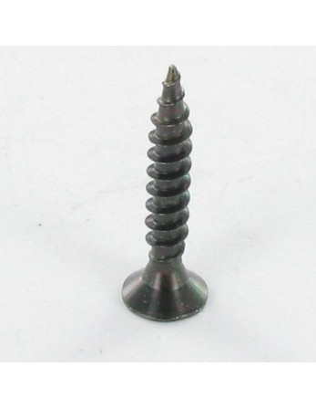VBA Vis bois agglo Tête fraisée TORX T20 4X25 Acier zingué noir