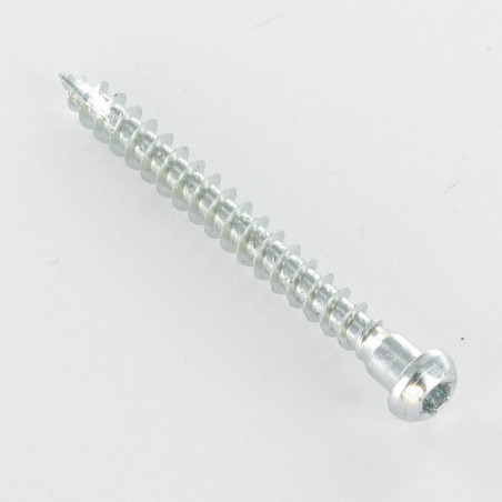 1 x Vis FERRURE ANGULAIRE Tête cylindrique TC TORX T20 Pointe antifendage type 17 Acier zingué 5X45
