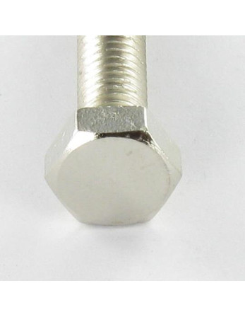Vis métaux Laiton nickelé Tête hexagonale TH M4X20